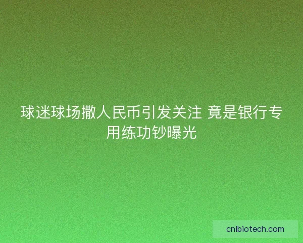 球迷球场撒人民币引发关注 竟是银行专用练功钞曝光 球迷球场撒人民币引发关注 竟是银行专用练功钞曝光