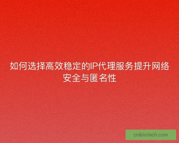 如何选择高效稳定的IP代理服务提升网络安全与匿名性