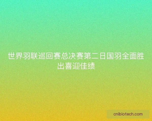 世界羽联巡回赛总决赛第二日国羽全面胜出喜迎佳绩 世界羽联巡回赛总决赛第二日国羽全面胜出喜迎佳绩