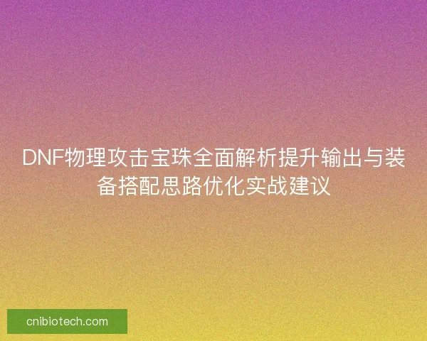 DNF物理攻击宝珠全面解析提升输出与装备搭配思路优化实战建议