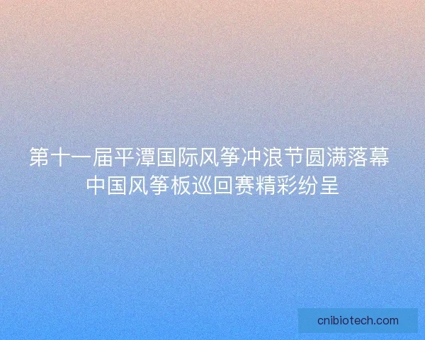 第十一届平潭国际风筝冲浪节圆满落幕 中国风筝板巡回赛精彩纷呈