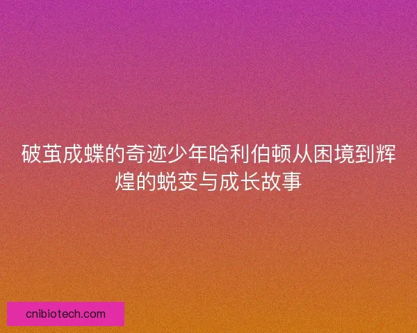 破茧成蝶的奇迹少年哈利伯顿从困境到辉煌的蜕变与成长故事