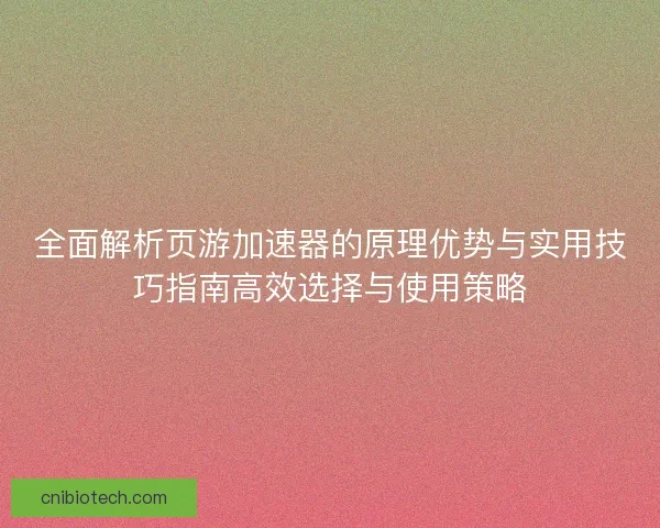 全面解析页游加速器的原理优势与实用技巧指南高效选择与使用策略