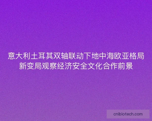 意大利土耳其双轴联动下地中海欧亚格局新变局观察经济安全文化合作前景 意大利土耳其双轴联动下地中海欧亚格局新变局观察经济安全文化合作前景