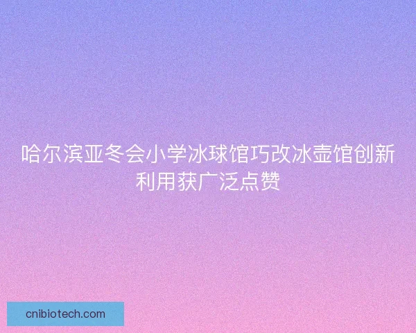 哈尔滨亚冬会小学冰球馆巧改冰壶馆创新利用获广泛点赞